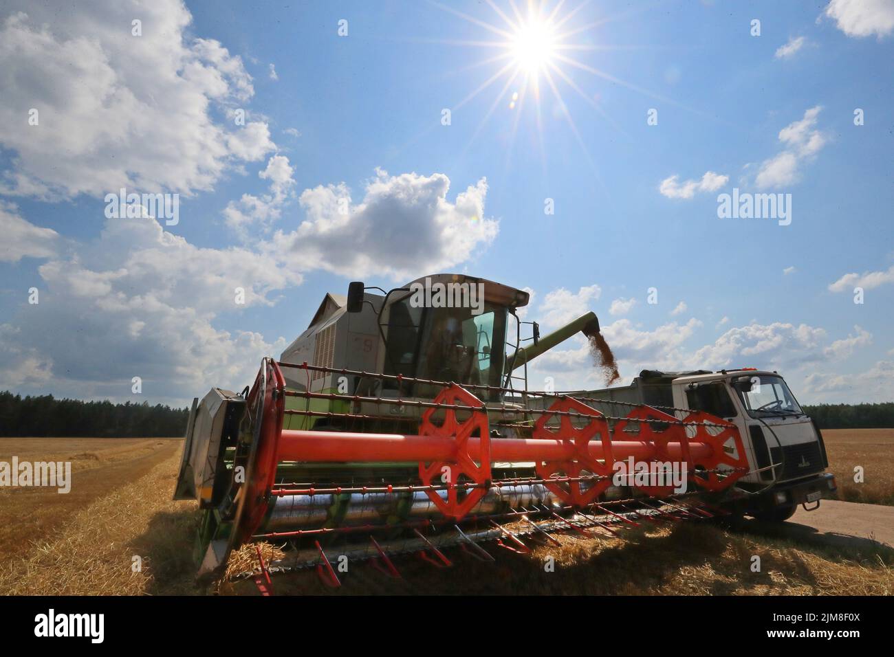 Minsk, Weißrussland. 4. August 2022. Ein Schnitter erntet Getreide in Minsk, Weißrussland, 4. August 2022. Quelle: Henadz Zhinkov/Xinhua/Alamy Live News Stockfoto