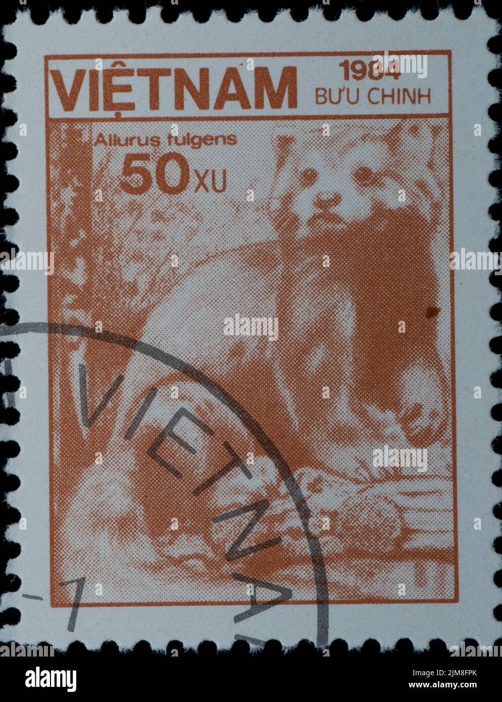 VIETNAM - UM 1984: Stempel - wilder kleiner Panda Stockfoto