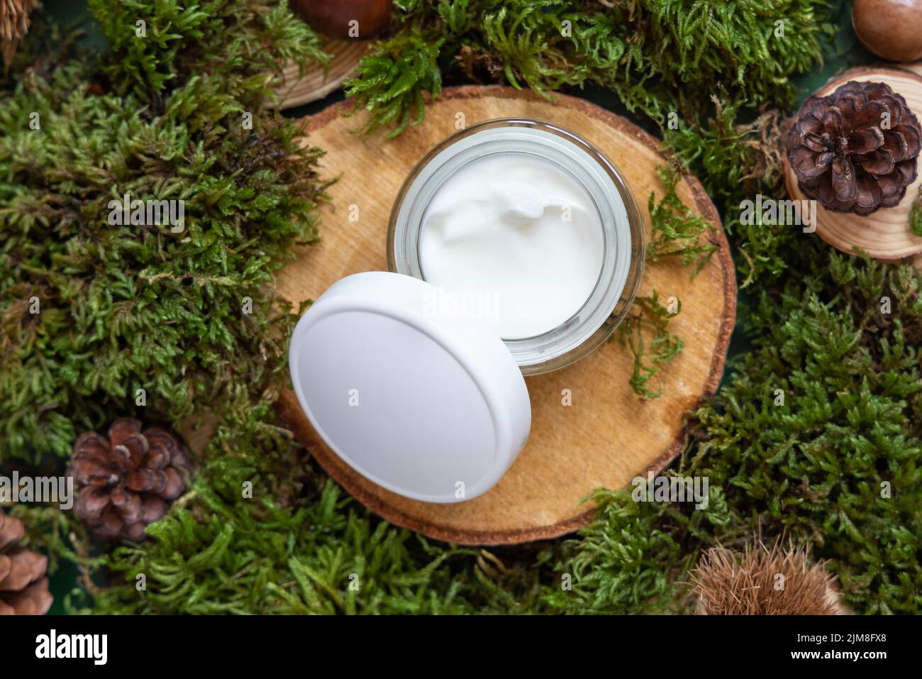 Geöffnetes Cremeglas mit weißer Kappe auf Holzstück zwischen grünem Moos, Pinienzapfen und Nüssen, Draufsicht, Mockup. Hautpflege Beauty-Produkt-Paket. Natürliches Oder Stockfoto