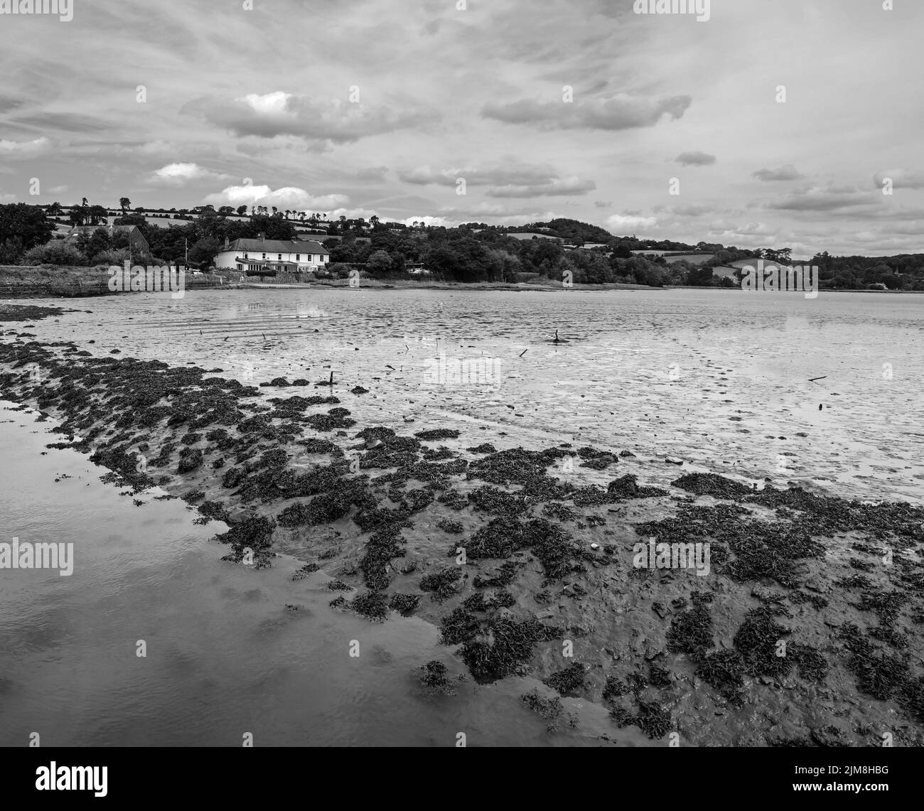 Schwarz-Weiß-Bild von Cottages am Ufer des Flusses Tavy vom Kai bei Bere Ferrers aus gesehen. Die Flut ist niedrig mit Mustern im Fluss Be Stockfoto