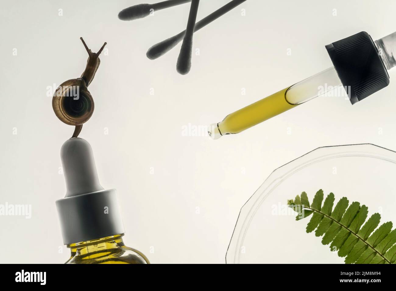 Flüssiges Serum in einer Flasche mit einem Tropf. Hautpflegekonzept mit Schnecke, Serum, Petrischale, Farn, Wattestäbchen, Pipette. Auf weißem Hintergrund. Stockfoto