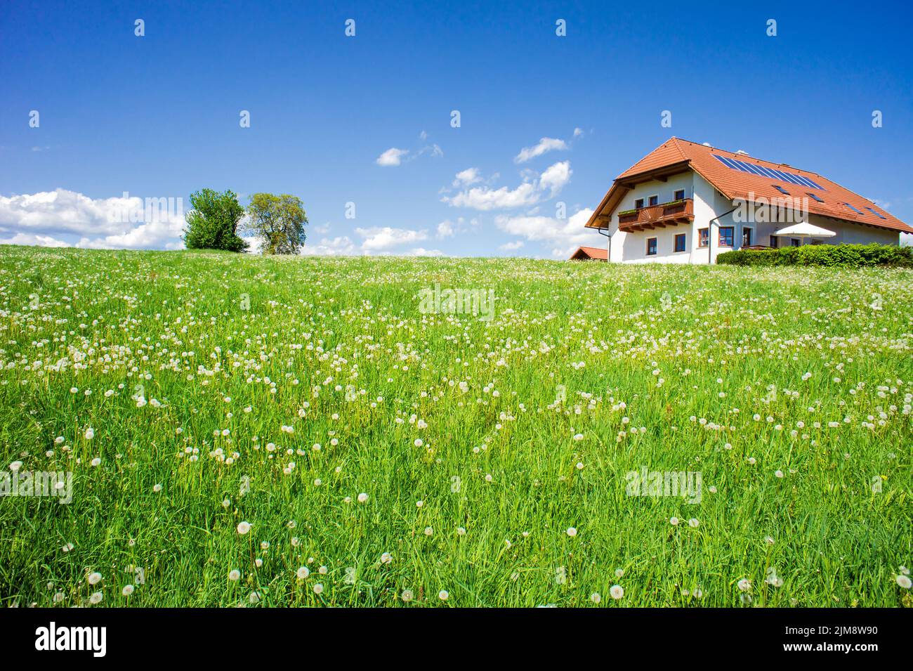 Familienhaus in einer Sommerlandschaft Stockfoto
