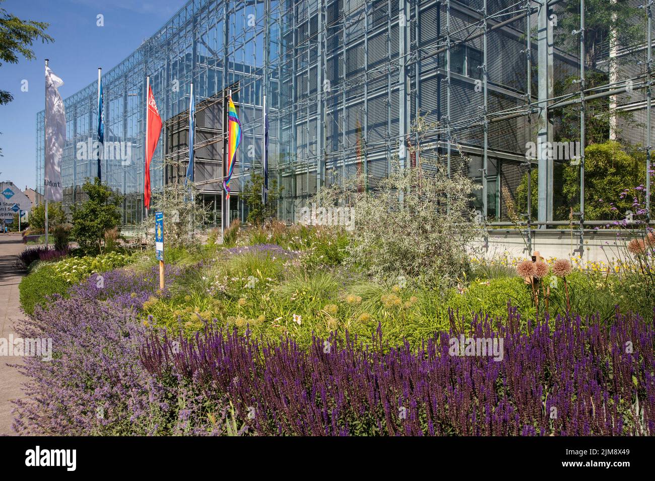 Das Neven DuMont Gebäude der DuMont Media Group in der Amsterdamer Straße, Köln, Deutschland. Um die Biodiversität zu fördern, hat das Unternehmen eine breite n gepflanzt Stockfoto