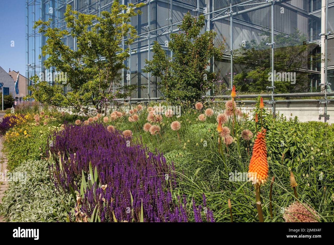 Das Neven DuMont Gebäude der DuMont Media Group in der Amsterdamer Straße, Köln, Deutschland. Um die Biodiversität zu fördern, hat das Unternehmen eine breite n gepflanzt Stockfoto