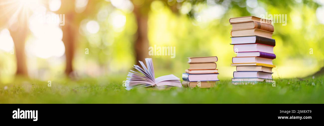 Stapel der verschiedenen Bücher befinden sich auf dem grünen Gras im Park Stockfoto
