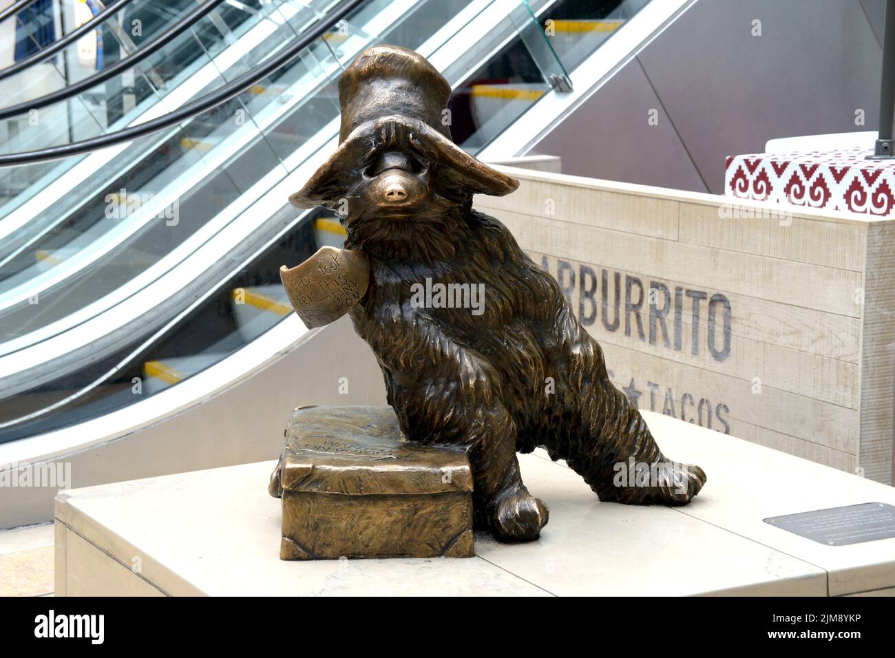Paddington Bear Statue London Stockfoto