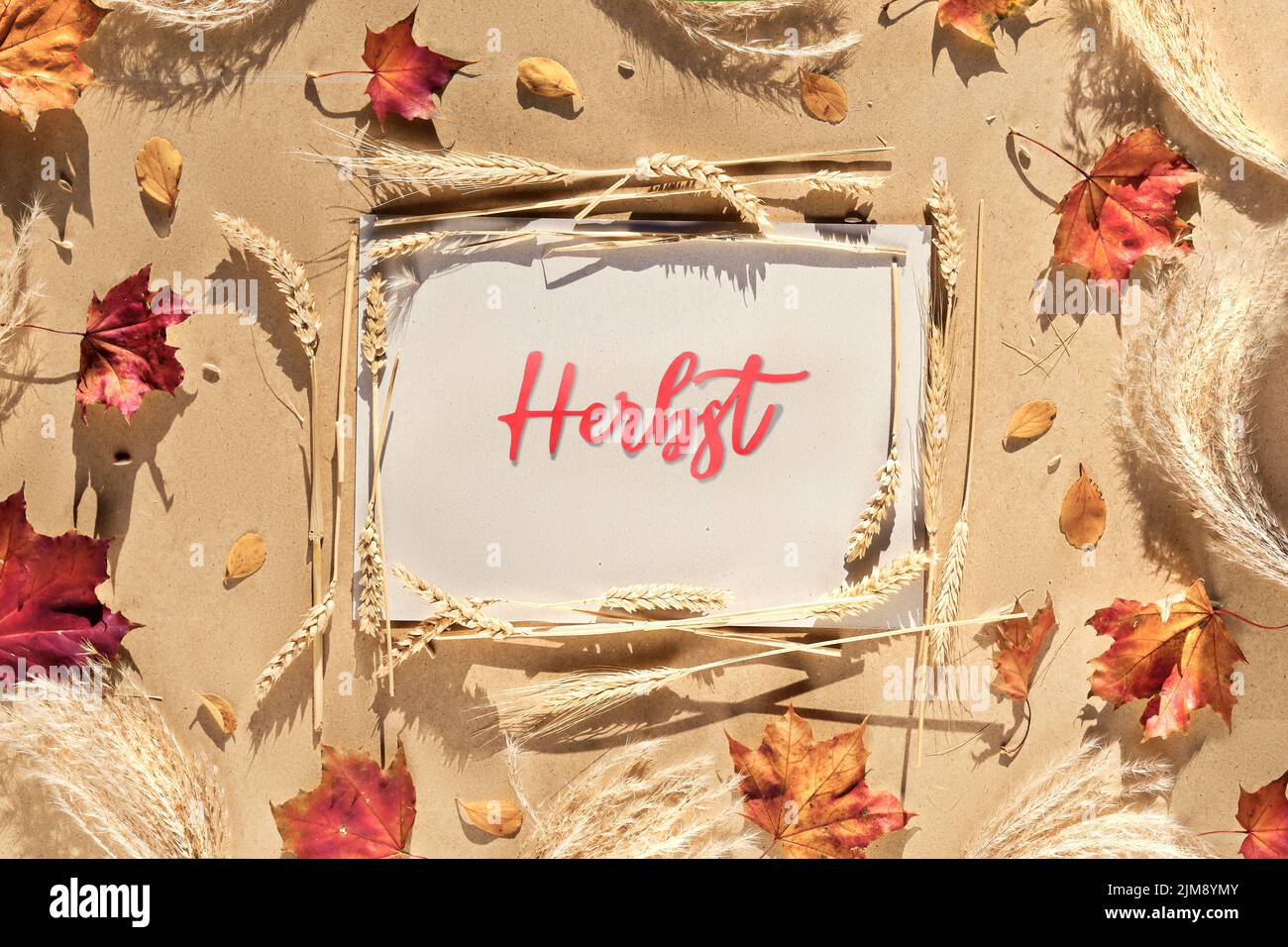 Herbstrahmen, Bildunterschrift Grußtext Herbst bedeutet Herbst in deutscher Sprache. Natürliche Herbstblätter, Weizenohren und Pampagras. Stockfoto
