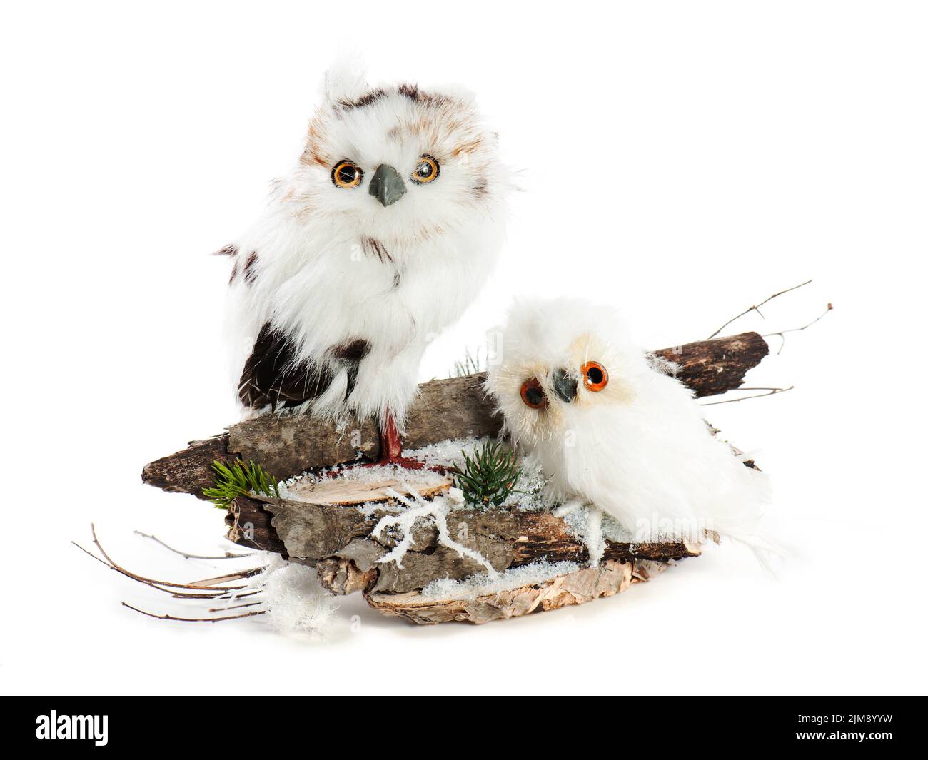 Zwei Eulen auf einem Holzsockel mit Schnee, Kiefernnadeln Stockfoto