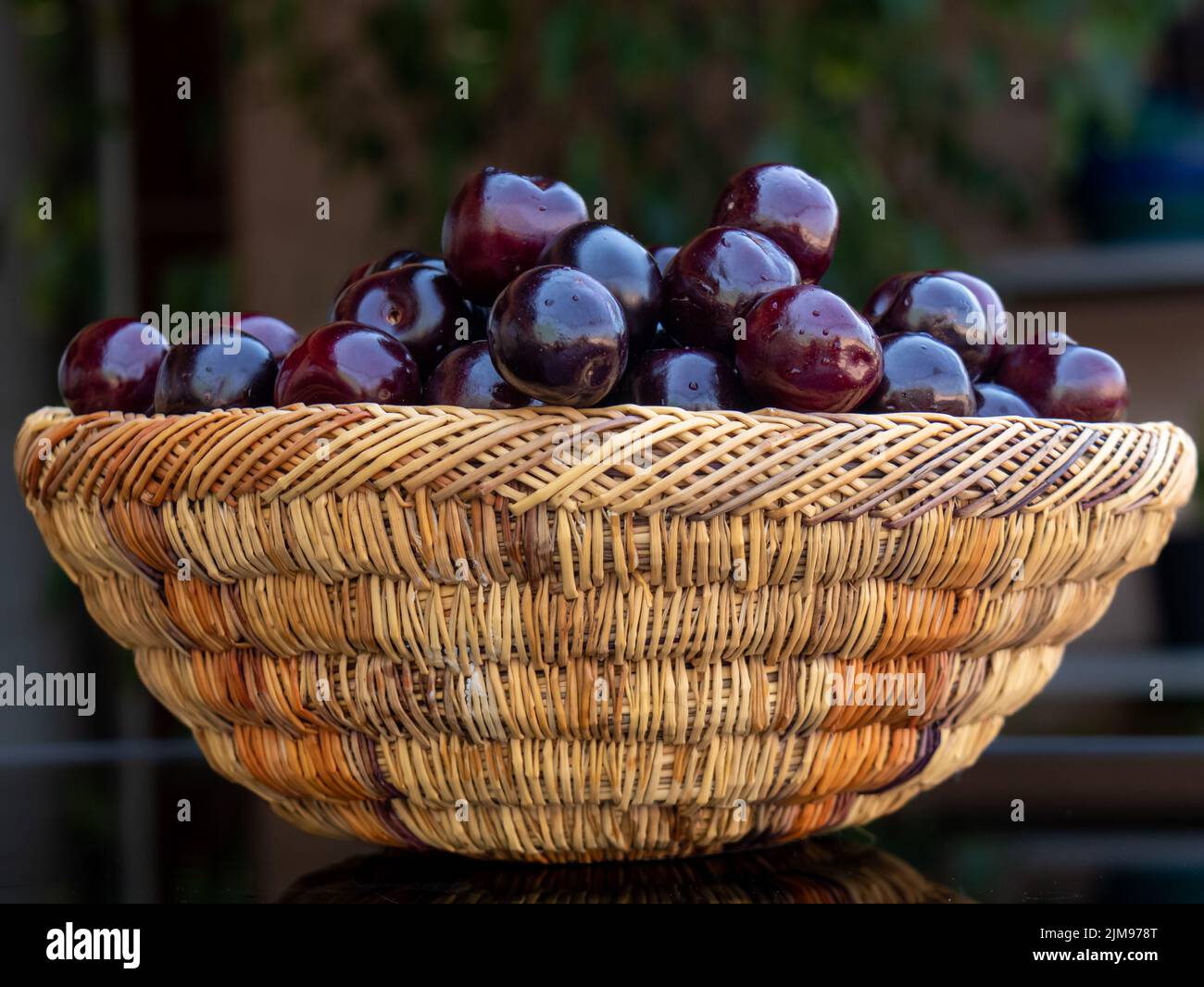 Nahaufnahme von frischen reifen Kirschen, in einem bunten Korbkorb mit frischen reifen Kirschen, in einem bunten Korbkorb Stockfoto