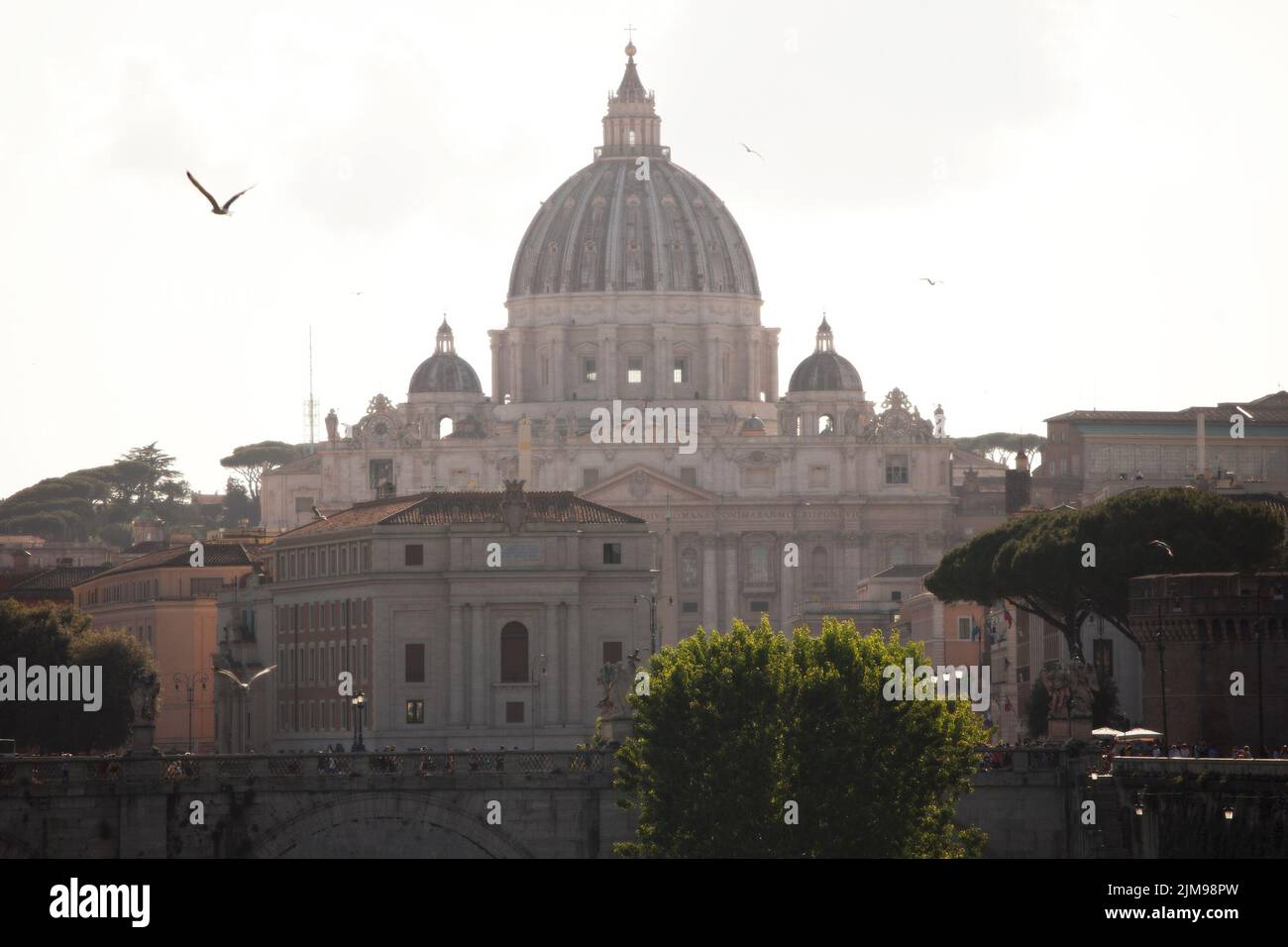 Päpstliche Basilika St. Peter im Vatikan Stockfoto