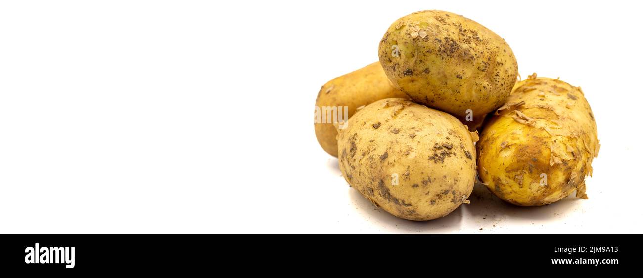 Reife Kartoffeln. Frische und rohe Kartoffeln isoliert auf weißem Hintergrund. Bio-Lebensmittel. Kopierbereich. Nahaufnahme Stockfoto