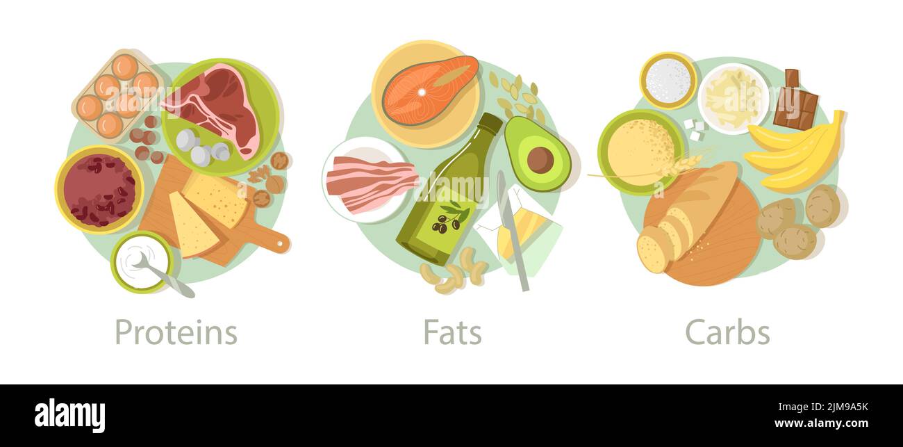 Kohlenhydrat-, Protein- und Fett-Lebensmittel-Set. Vektorgrafiken von Ernährungskategorien. Cartoon Carb Fasern in Getreide, Getreidebrot, Energie Mahlzeiten von mea Stock Vektor