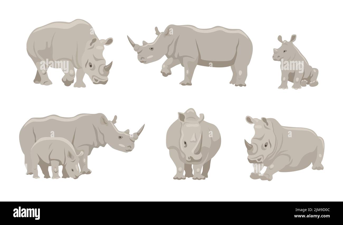 Rhinoceros mit jungen Tier Cartoon Illustration Set. Grauer Nashorncharakter in verschiedenen Positionen, Gehen, Liegen und Sitzen auf weißem Hintergrund. Ein Stock Vektor