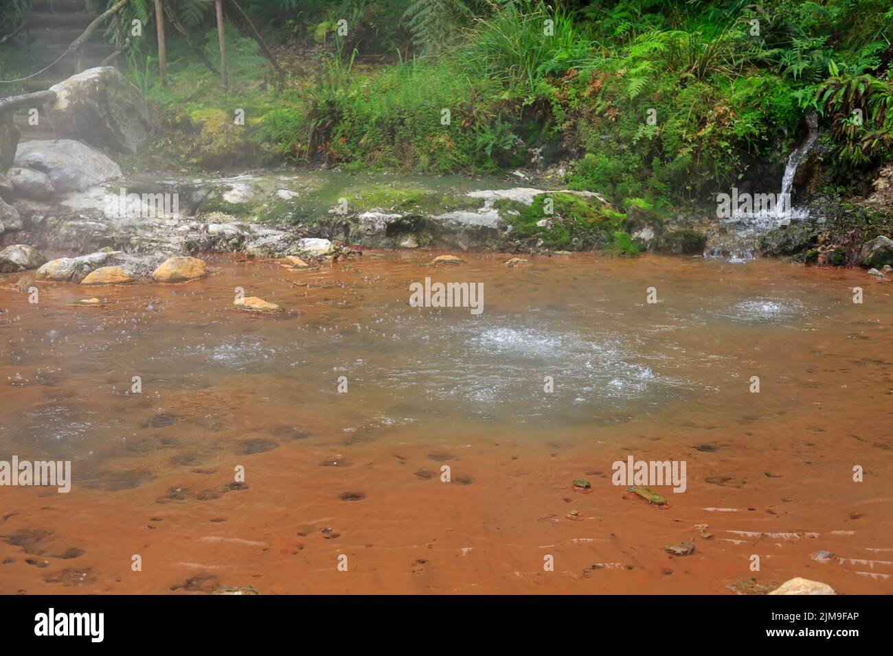 Thermalbad Caldeira Velha, Sao Miguel Insel auf den Azoren Stockfoto