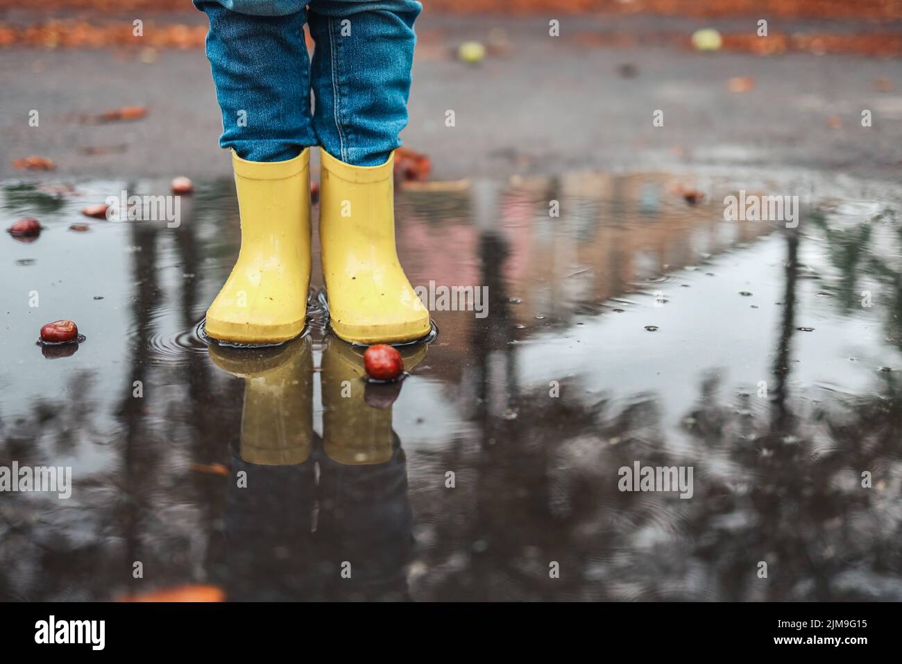 Gelbe Gummischuhe in der Pfütze nach dem Regen. Herabfallende Blätter. Konzept der Herbstsaison. Stockfoto