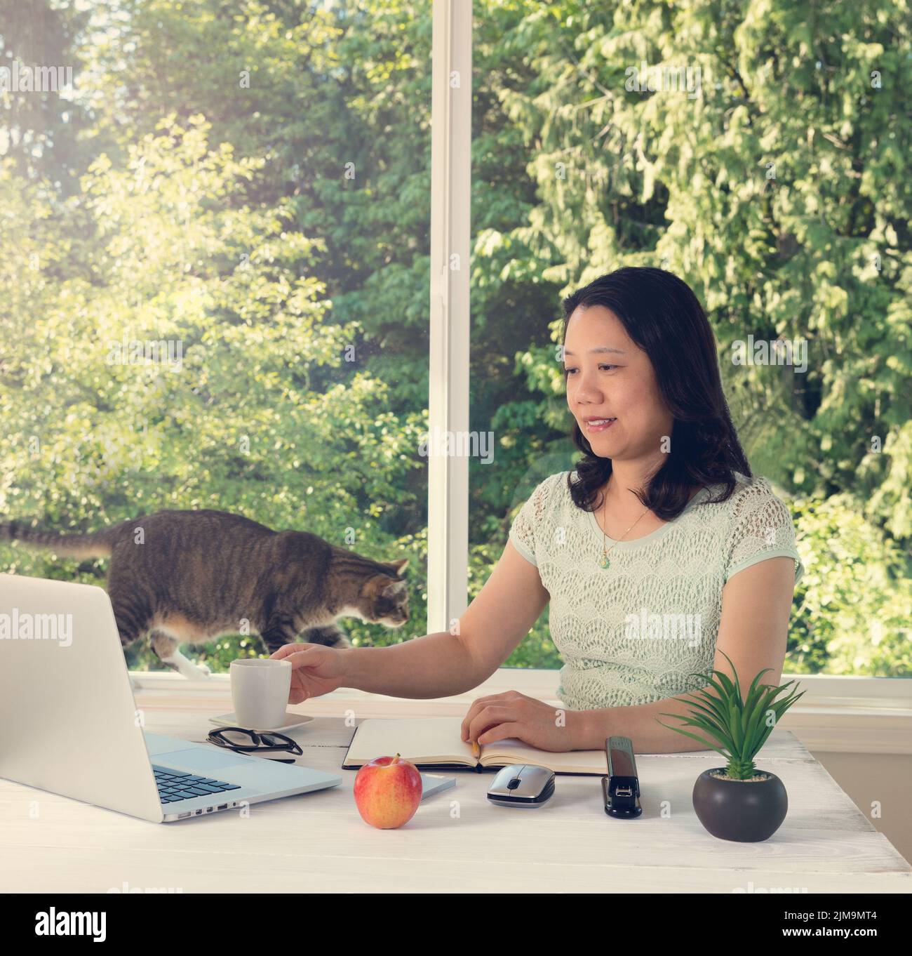 Frau, die zu Hause mit Tageslichtfenster und Katze hinter sich arbeitet Stockfoto