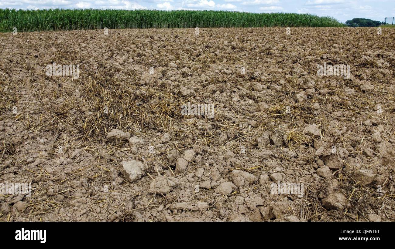 Luftdrohnenbild zeigt ein ausgetrocknetes Feld in der Gegend von Lierde, Freitag, 05. August 2022. Niedrige Niederschläge seit März und das extrem trockene Wetter im Juli führen in Flandern zu einem kritisch niedrigen Grundwasserspiegel. BELGA FOTO NICOLAS MAETERLINCK Stockfoto