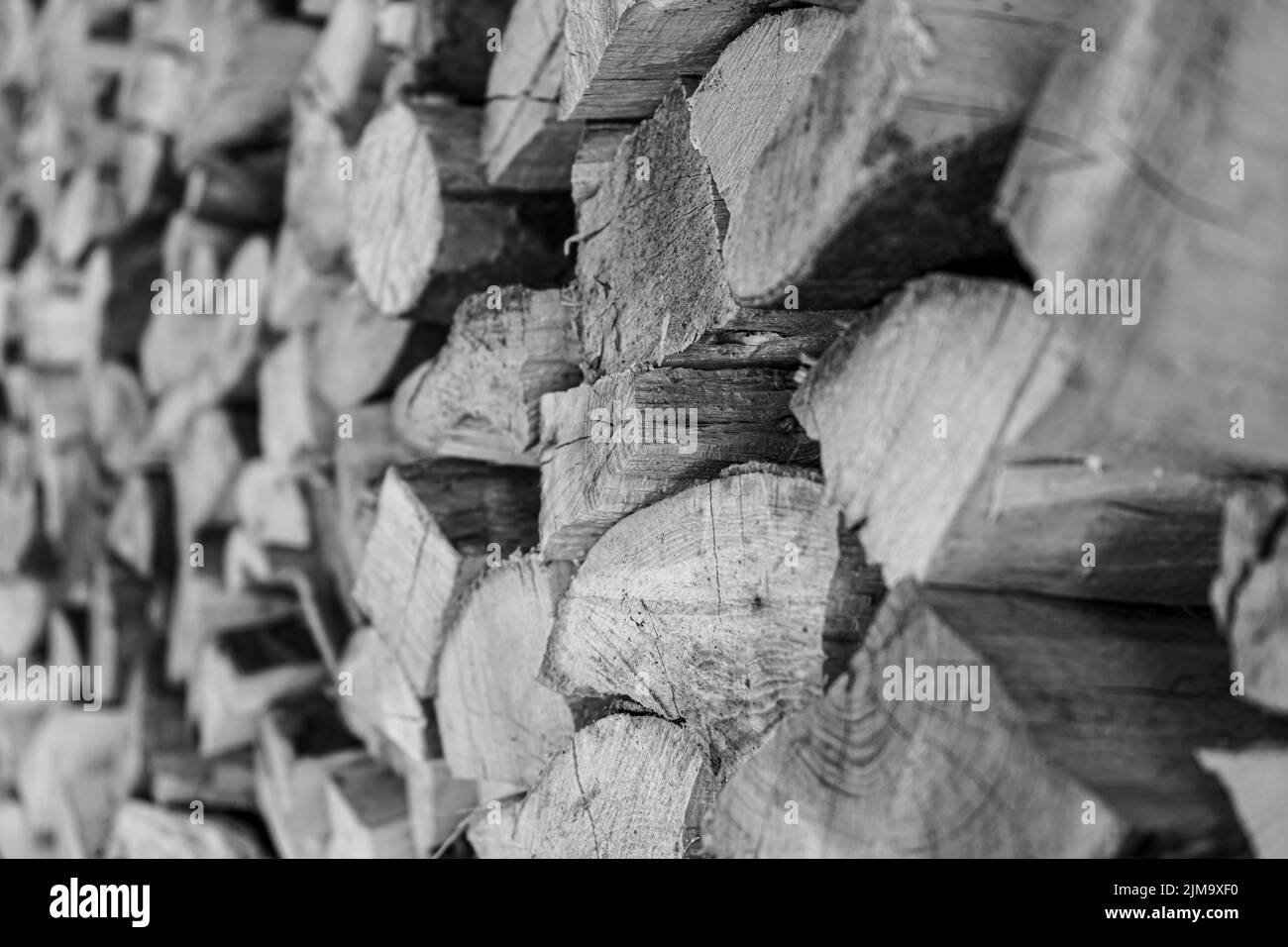 Stapel Feuerholz. Vorbereitung des Feuerholzes für den Winter. Stockfoto