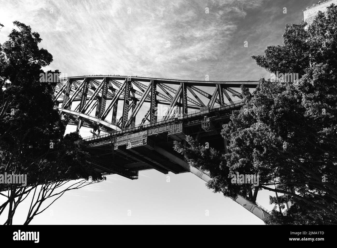 Eine Graustufenaufnahme der Sydney Harbour Bridge mit Bäumen im Vordergrund Stockfoto