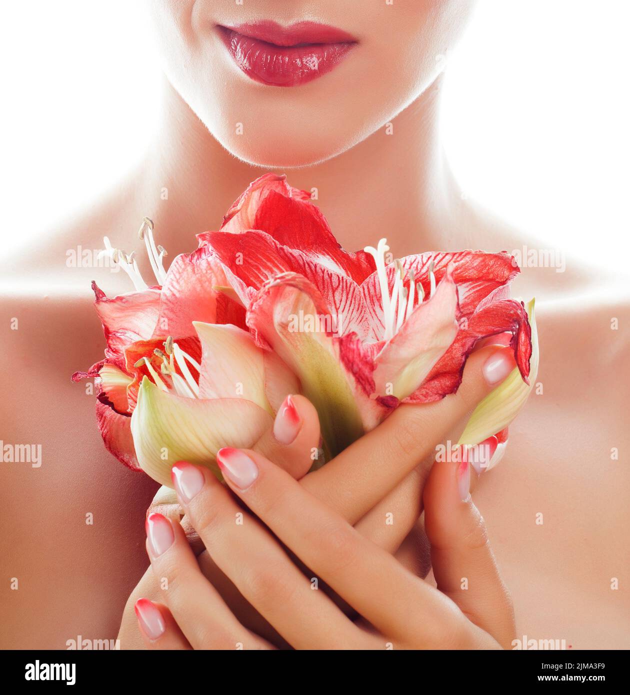 Schönheit zarte Hände mit rosa Ombre Design Maniküre halten rote Blume Amaryllis Nahaufnahme isoliert warm Makro Stockfoto