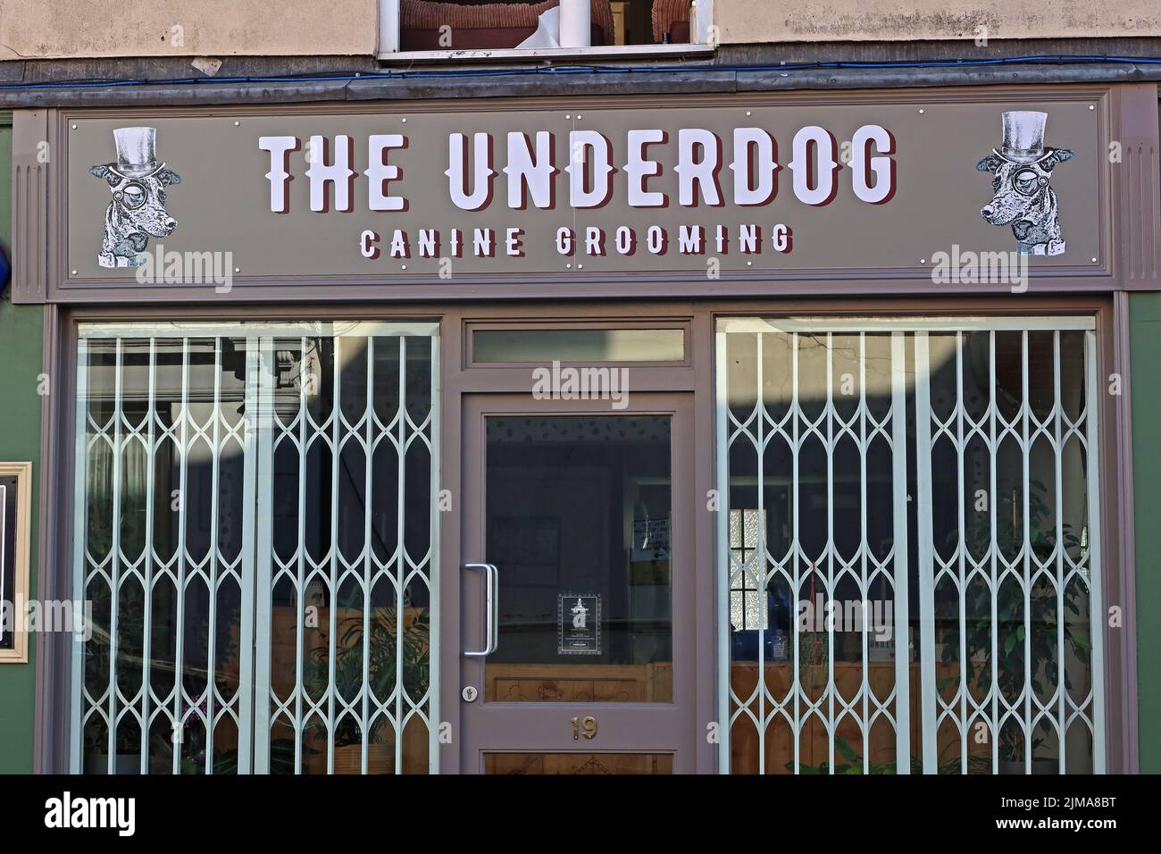 The Underdog, witziger Name für einen Hundepflegeladen - 15 Russell St, Stroud, Gloucestershire, England, Großbritannien, GL5 3AQ Stockfoto