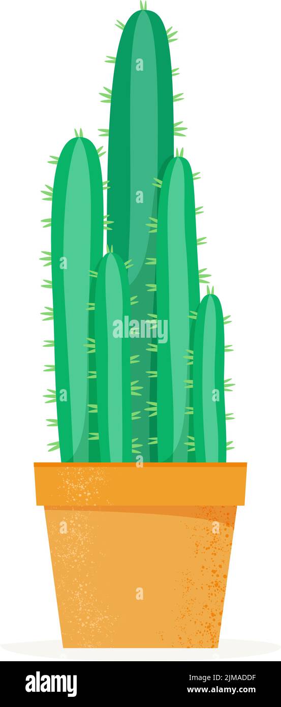 Kaktus im flachen Stil. Kakteen im Blumentopf zu Hause. Sukkkkkend. Vektorgrafik Stock Vektor
