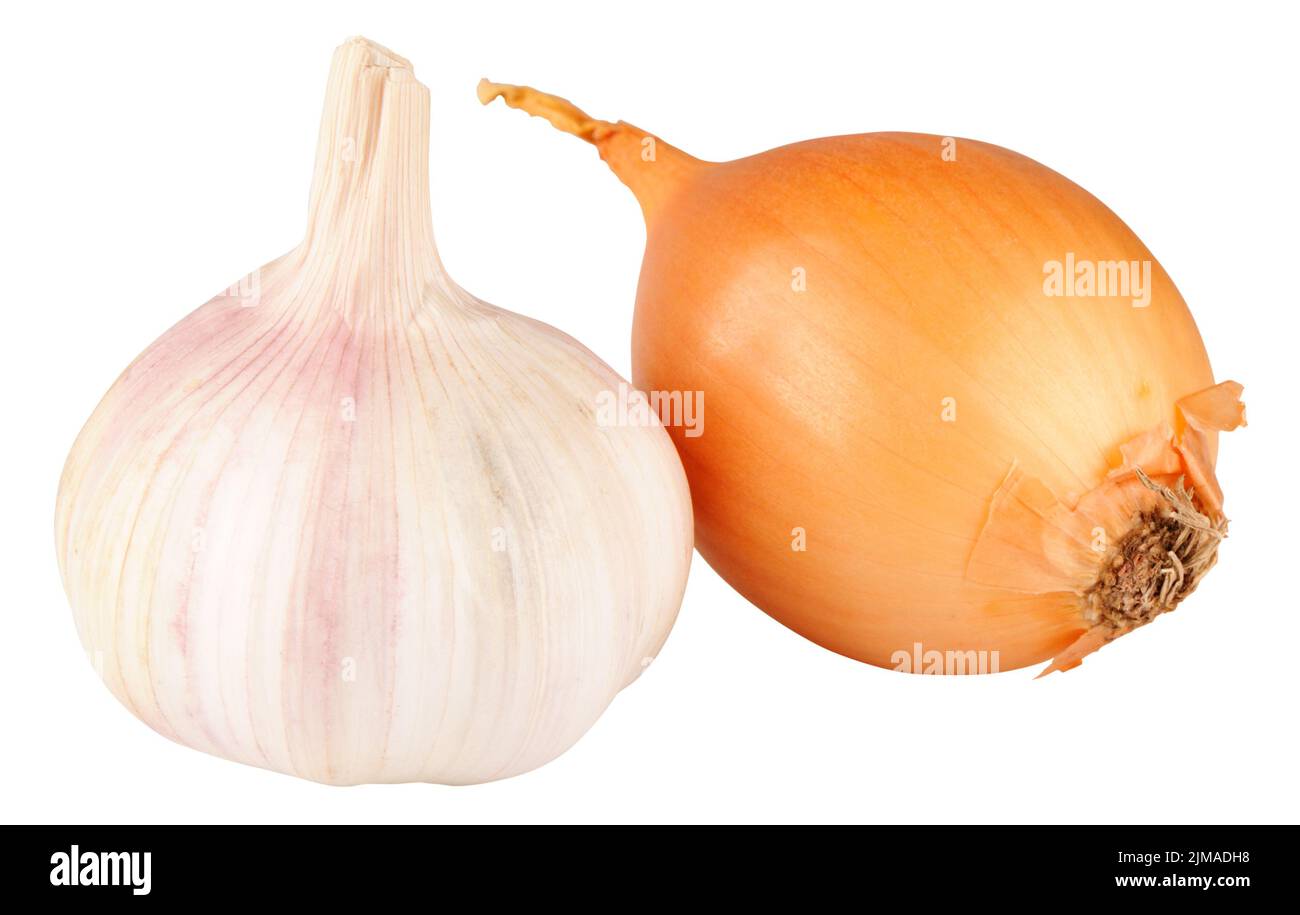 Knoblauch- und Zwiebelzwiebeln auf weißem Hintergrund isoliert Stockfoto