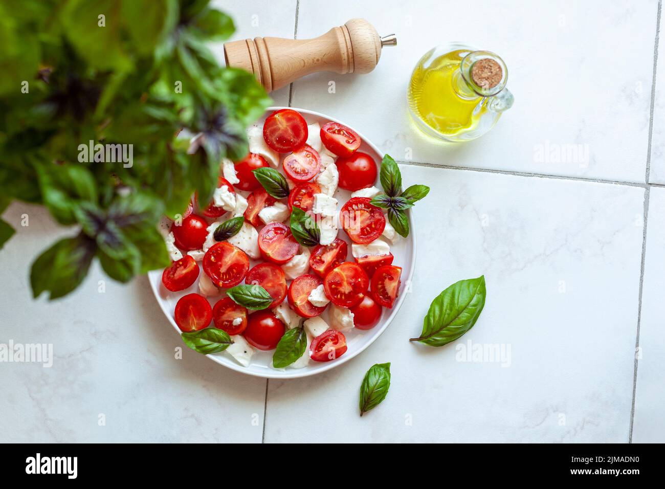 Portion Caprese-Salat unter der Basilikumpflanze, Draufsicht, Copyspace, selektiver Fokus Stockfoto