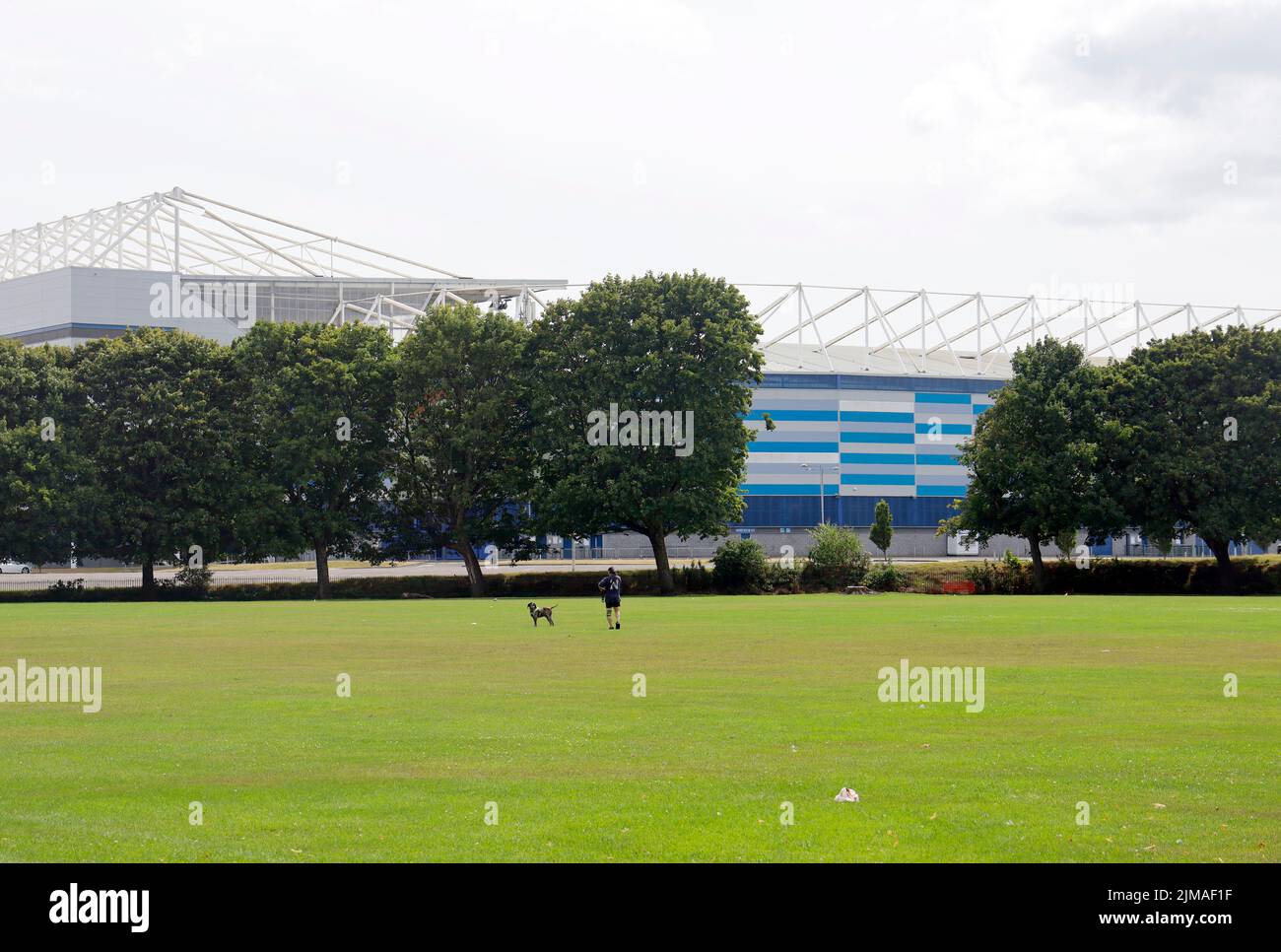 Jubilee Park, Mann und Hund mit Cardiff City FC Stadion nur durch Bäume sichtbar Stockfoto