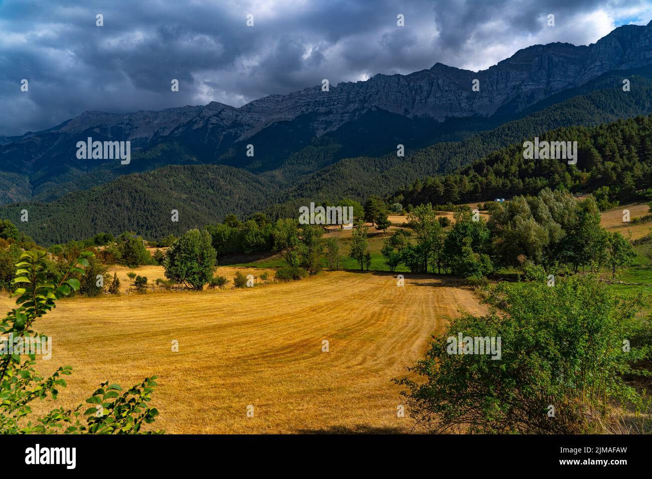 Serra del Cadí, Katalonien, Spanien, mit 500 hohen Klippen, die eine Höhe von über 2000m erreichen. Die Berge liegen im Parc Natural del Stockfoto
