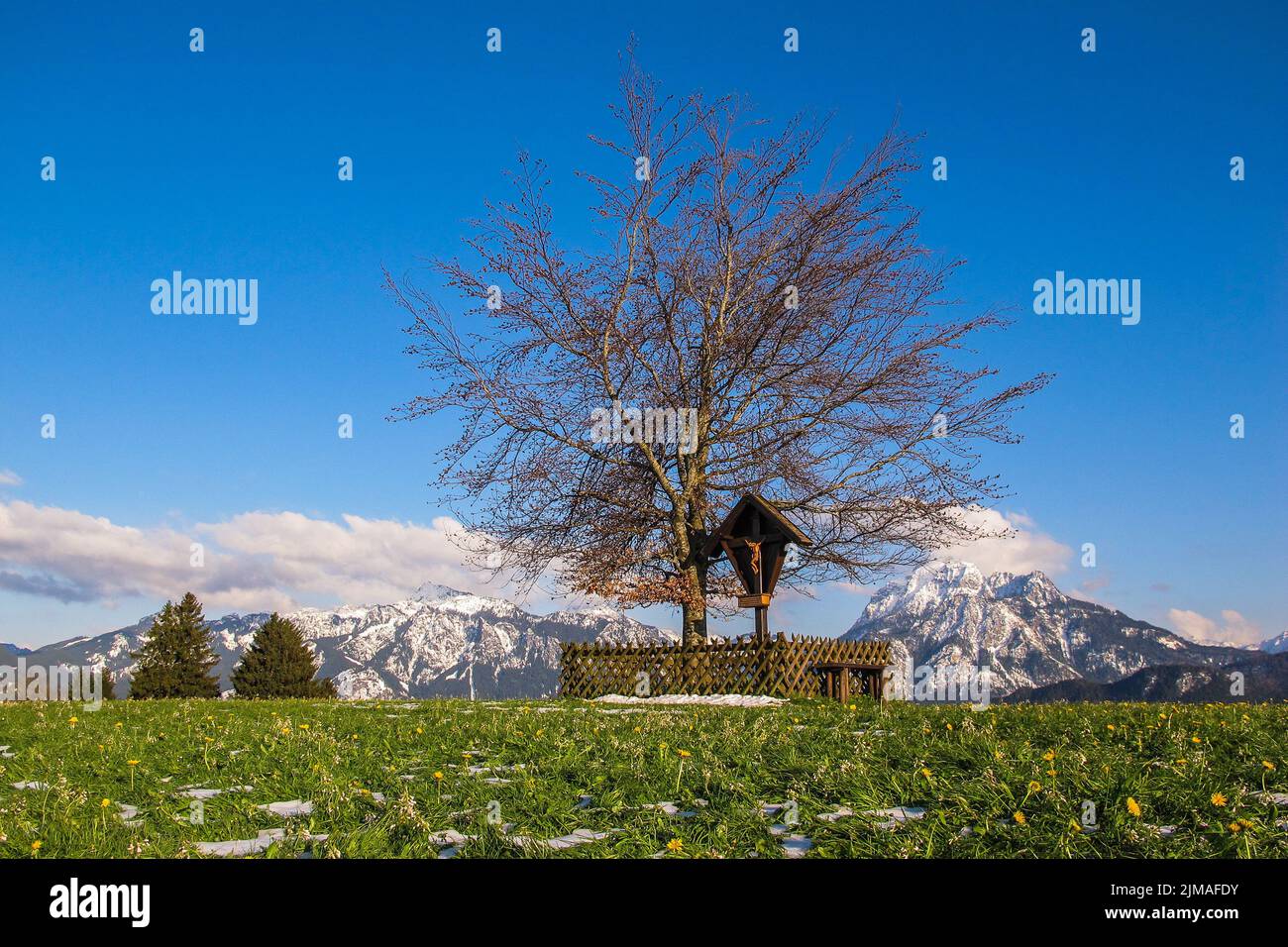 Frühlingswiese in Bayern - AllgäU Stockfoto