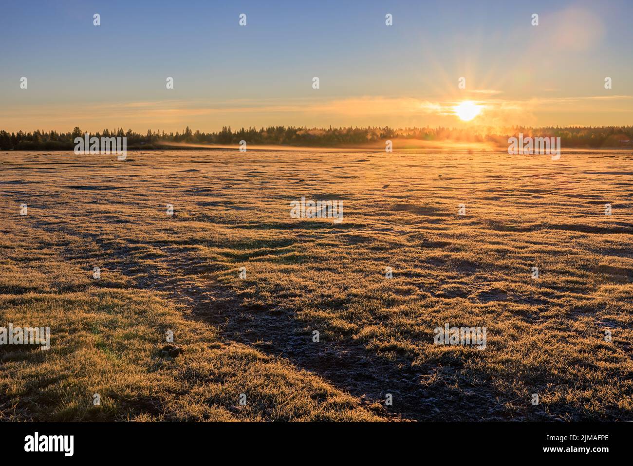 Ein frostiges Feld in Sunriver, Oregon bei Sonnenuntergang Stockfoto