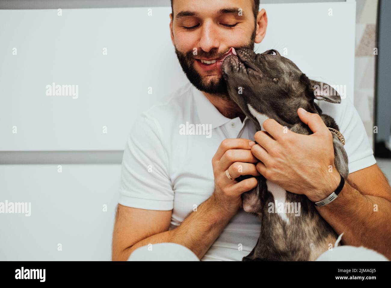 Ein Erwachsener Kaukasischer Mann Umarmt Sein Schönes Haustier Und Die Französische Bulldogge Leckt Ihren Besitzer Stockfoto