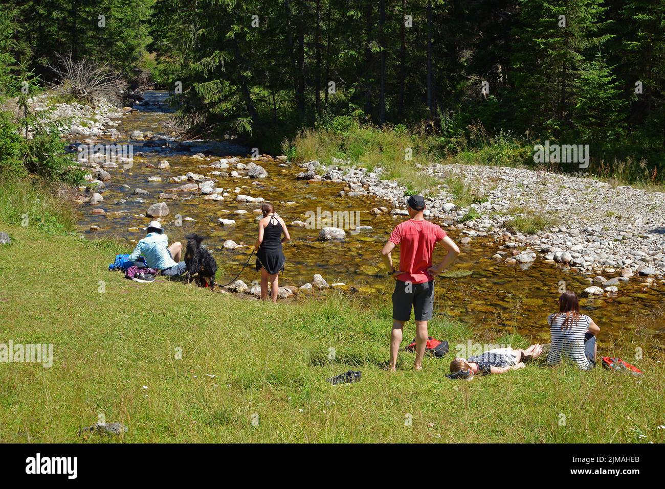 Sommernachmittag am Bach im Chocholowska Tal. Westtatra, Polen. Stockfoto