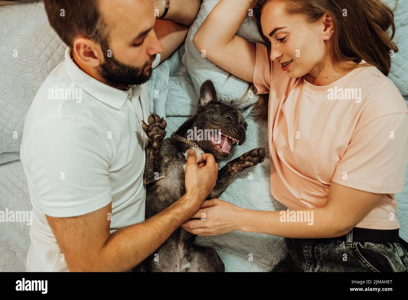 Glückliches Paar Mann und Frau liegen auf dem Bett mit ihrem Hund, Lustige Französisch Bulldogge Spaß mit Menschen Stockfoto