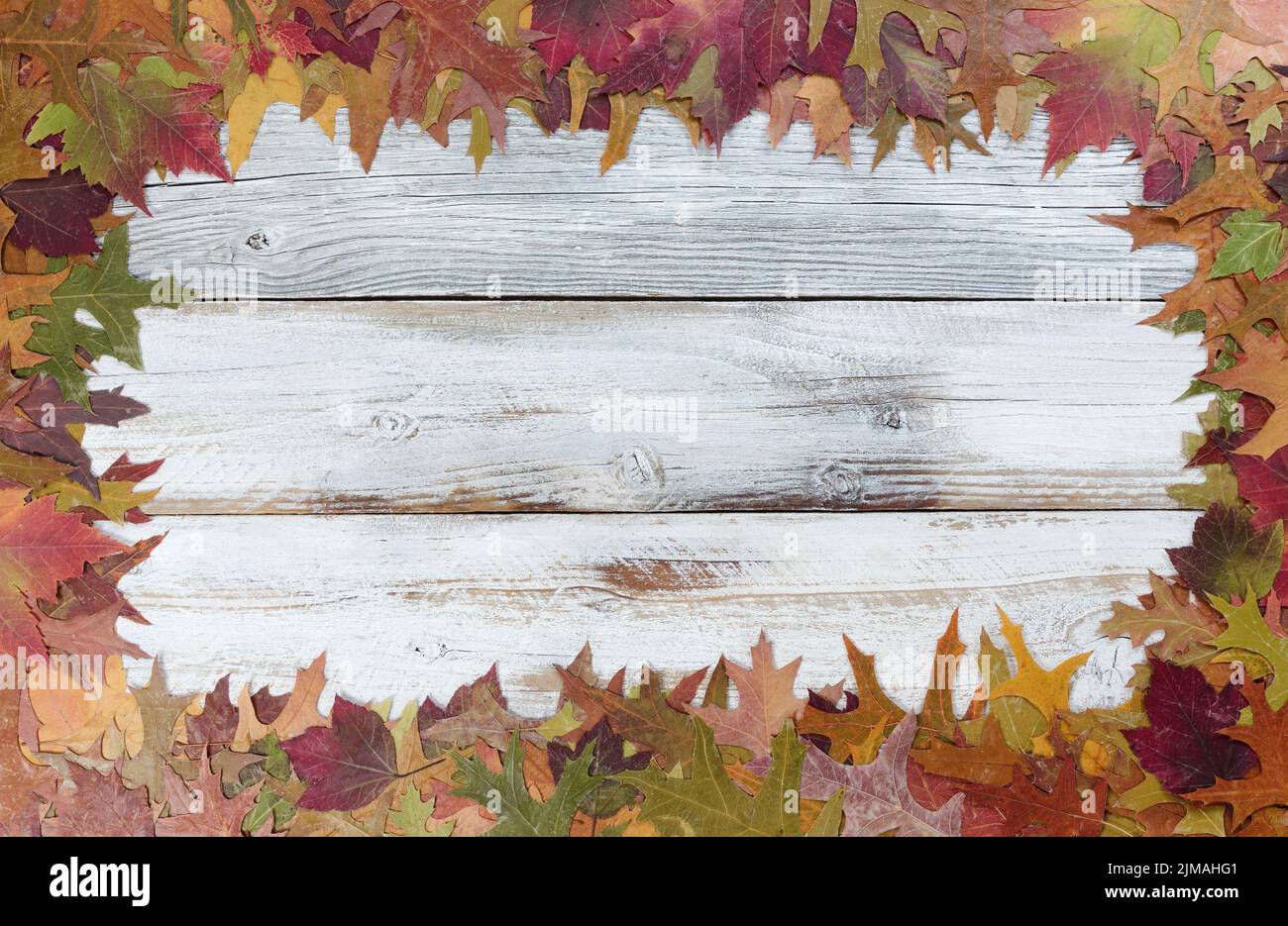 Herbstlaub Hintergrund für saisonale Feiertage auf weißen rustikalen Holzbrettern Stockfoto