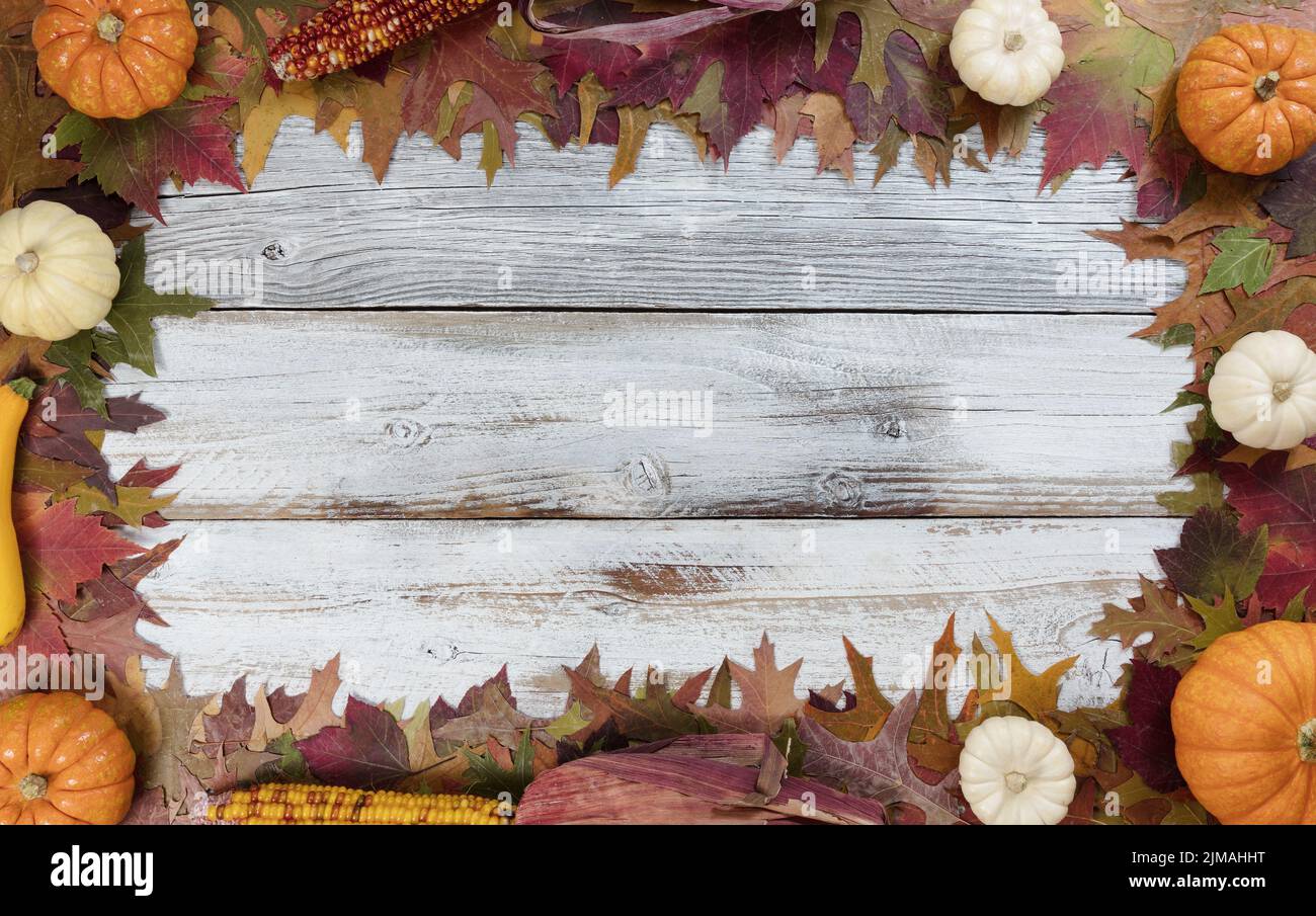 Herbstlaub und Dekorationen für saisonale Feiertage auf weißen rustikalen Holzbrettern Stockfoto Herbstlaub und Dekorationen für saisonale Feiertage auf weißen rustikalen Holzbrettern Stockfoto