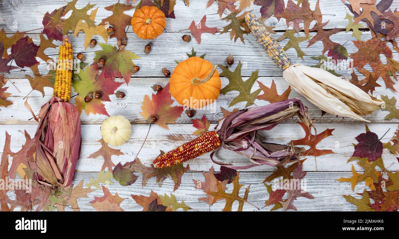 Saisonales Herbstlaub und Dekorationen auf rustikalen weißen Holzbrettern im flayfarbenen Lay-Format Stockfoto