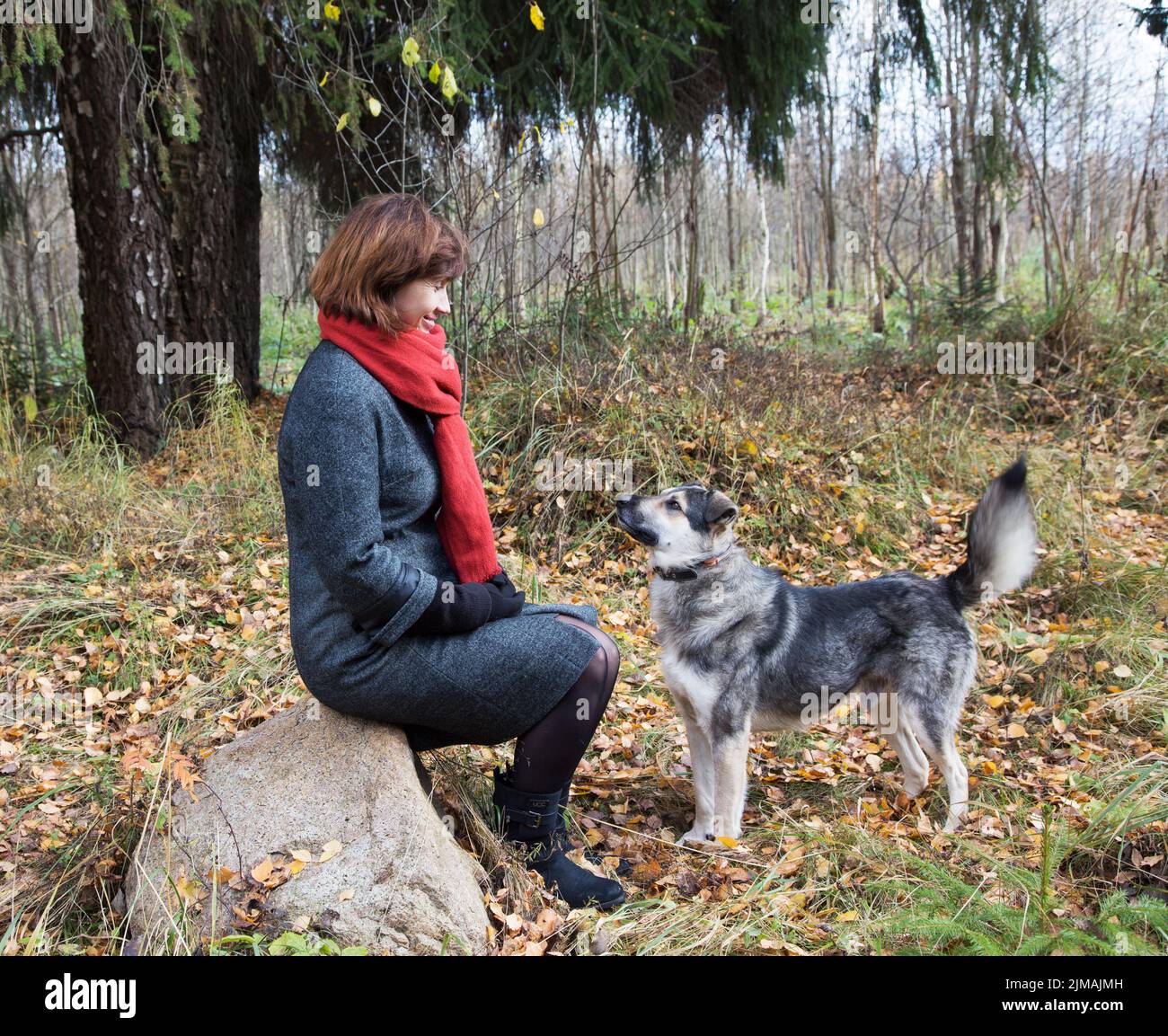 Frau im Wald, die am Herbstnachmittag mit einem Hund spazierengeht Stockfoto