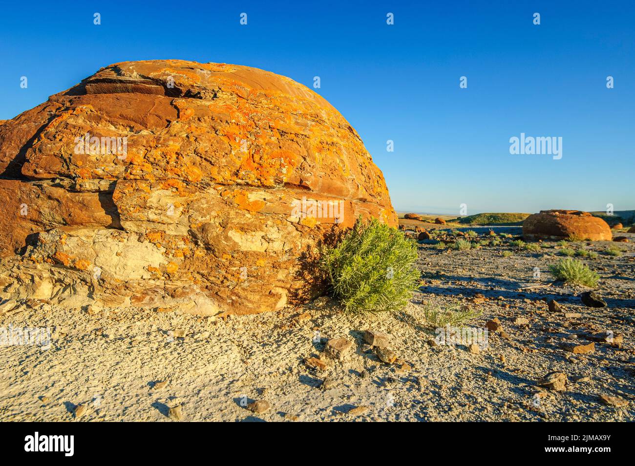 Eine kugelförmige Sandsteinbetonierung, die rot mit Eisenoxid gefärbt ist, im Red Rock Coulee Natural Area im Süden Albertas Stockfoto