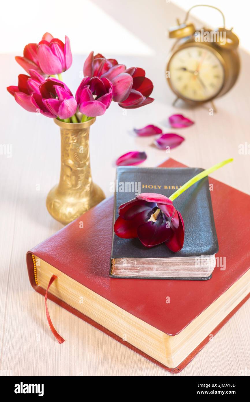 Bibel und alte Gold Wecker auf Holz Tisch Stockfoto Bibel und alte Gold Wecker auf Holz Tisch Stockfoto