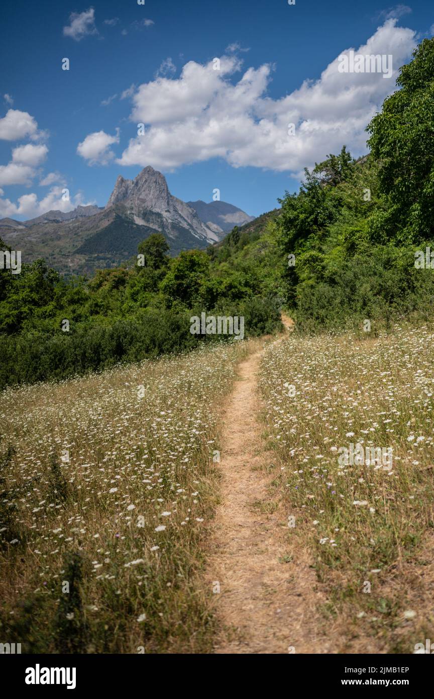 Bergweg in der Umgebung des Lanuza Stausees in Sallent de Gallego, Huesca, Spanien Stockfoto