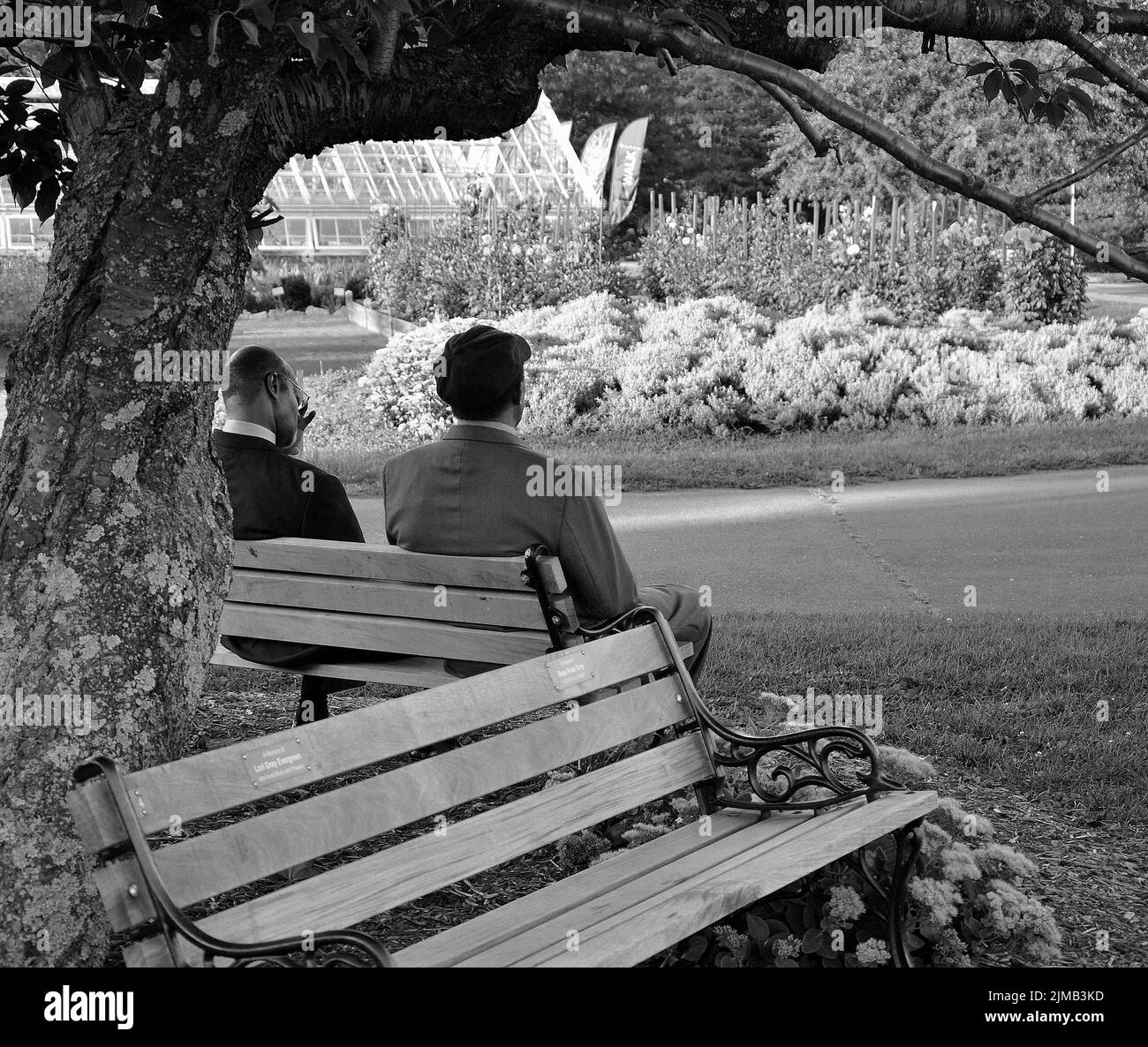 Eine Graustufenaufnahme von zwei männlichen Freunden, die auf einer Bank sitzen und über Neuigkeiten nachdenken Stockfoto
