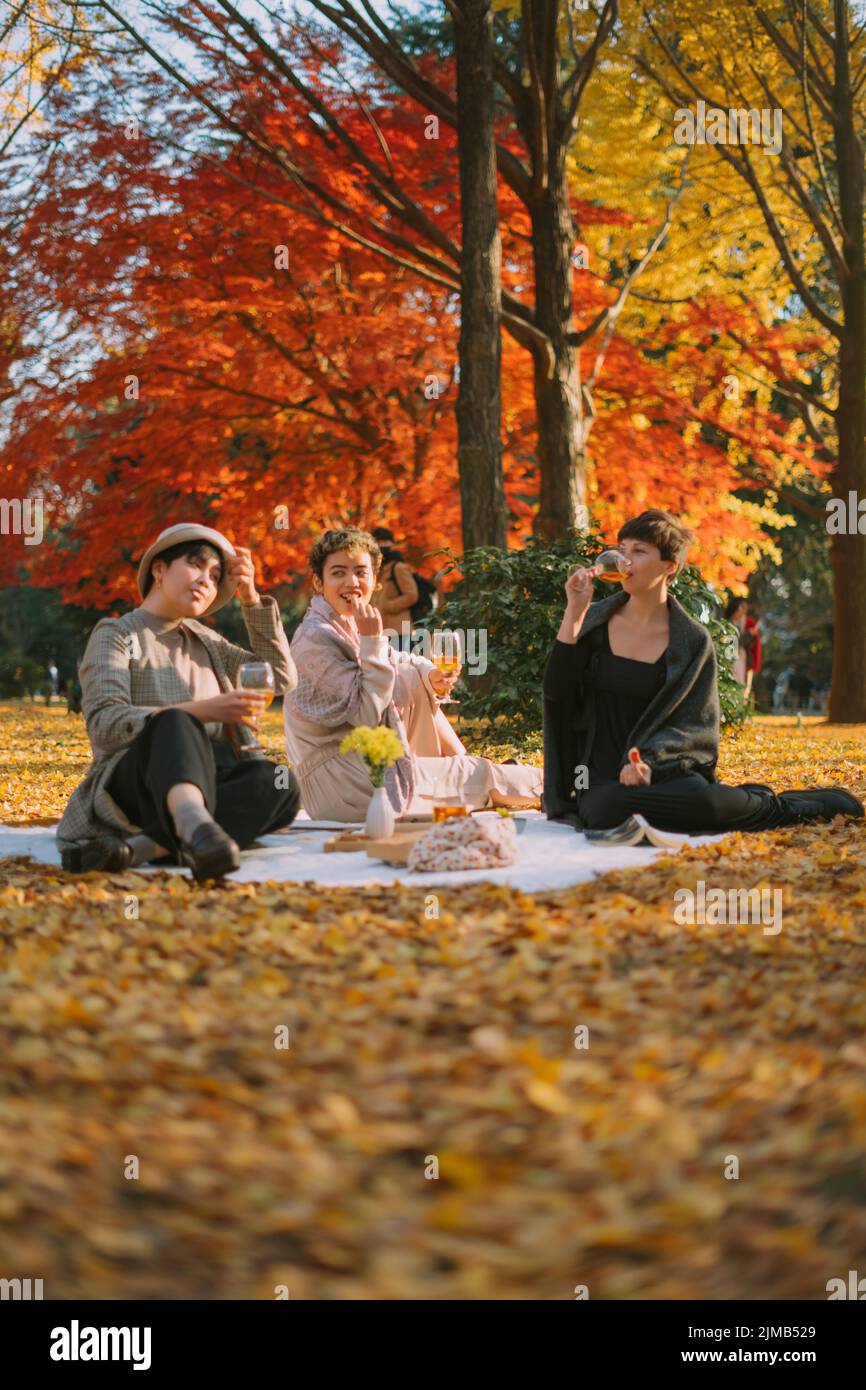 Eine schöne Aufnahme von Freunden, die im Herbst ein Picknick machen und im Park plaudern Stockfoto