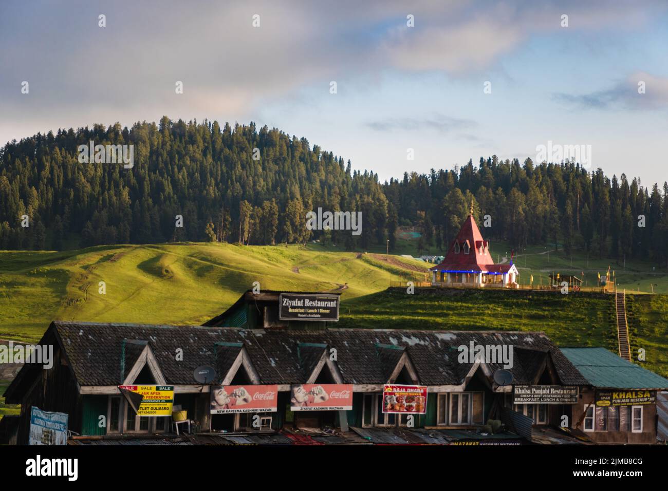 Pferde auf der Wiese in Gulmarg, Jammu und Kaschmir, Indien. Stockfoto