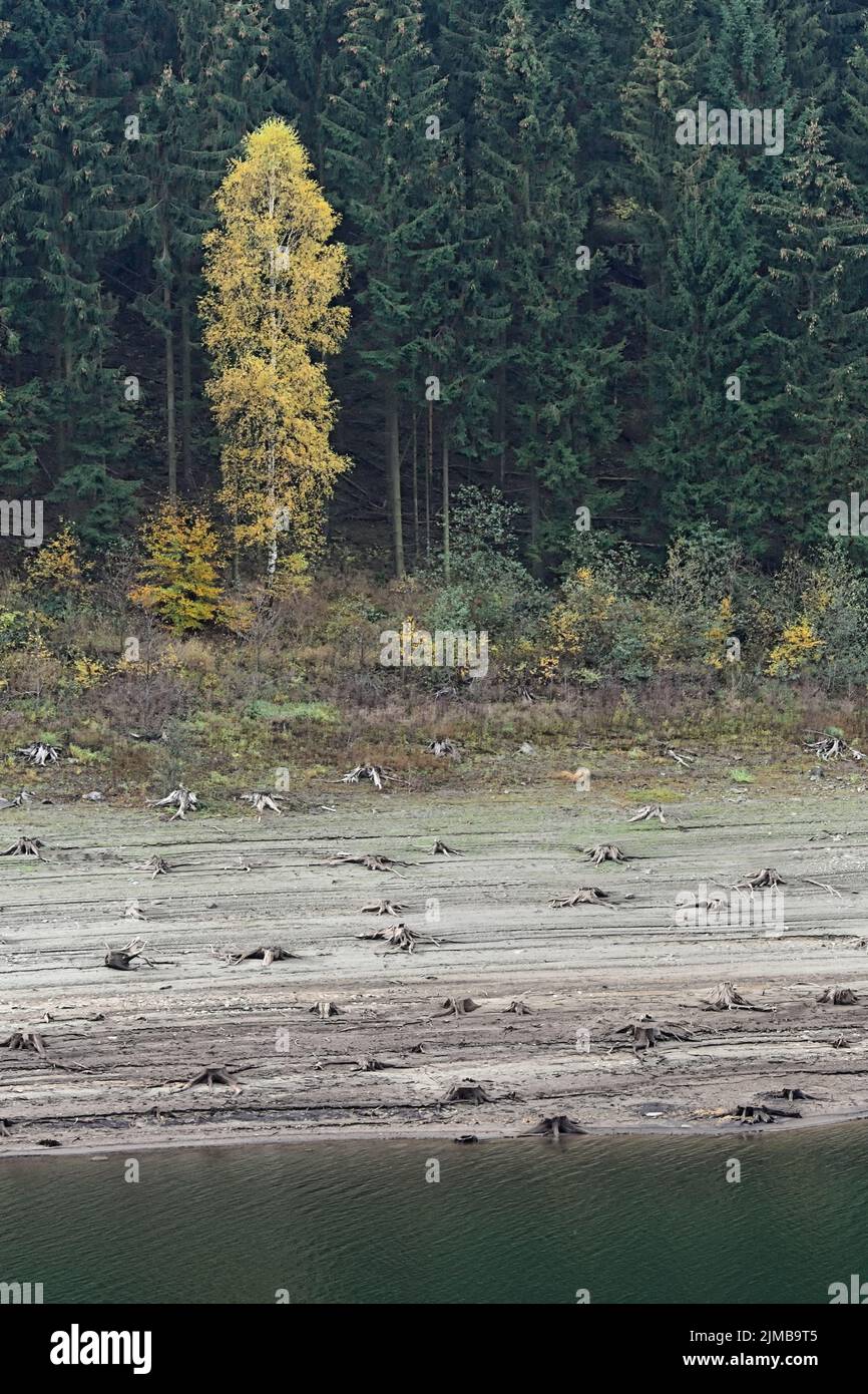 Niedrigwasser im Grane Stausee, Harz, Deutschland Stockfoto