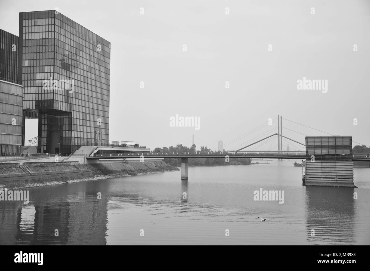 Blick in das Hafenbecken des Media Harbour mit Hyatt Hotel in Düsseldorf, Deutschland Stockfoto