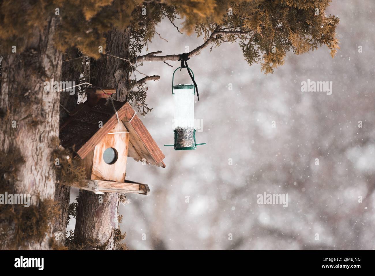 Winterlandschaft mit Schnee und Vögel. Friedlich und ruhig, verschneiten Winter Foto des Hauses Spatzen im Vogelhaus. Stockfoto
