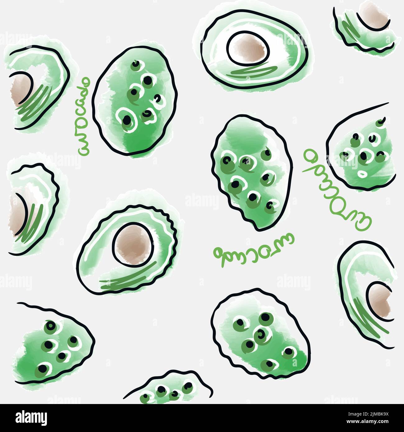 Avocado. Nahtloses Muster von awacade Kritzeleien mit handschriftlichen Buchstaben. Wiederholender Hintergrund. Obst-Druck. Niedlichen Cartoon-Stil. Mode-Illustration Stock Vektor