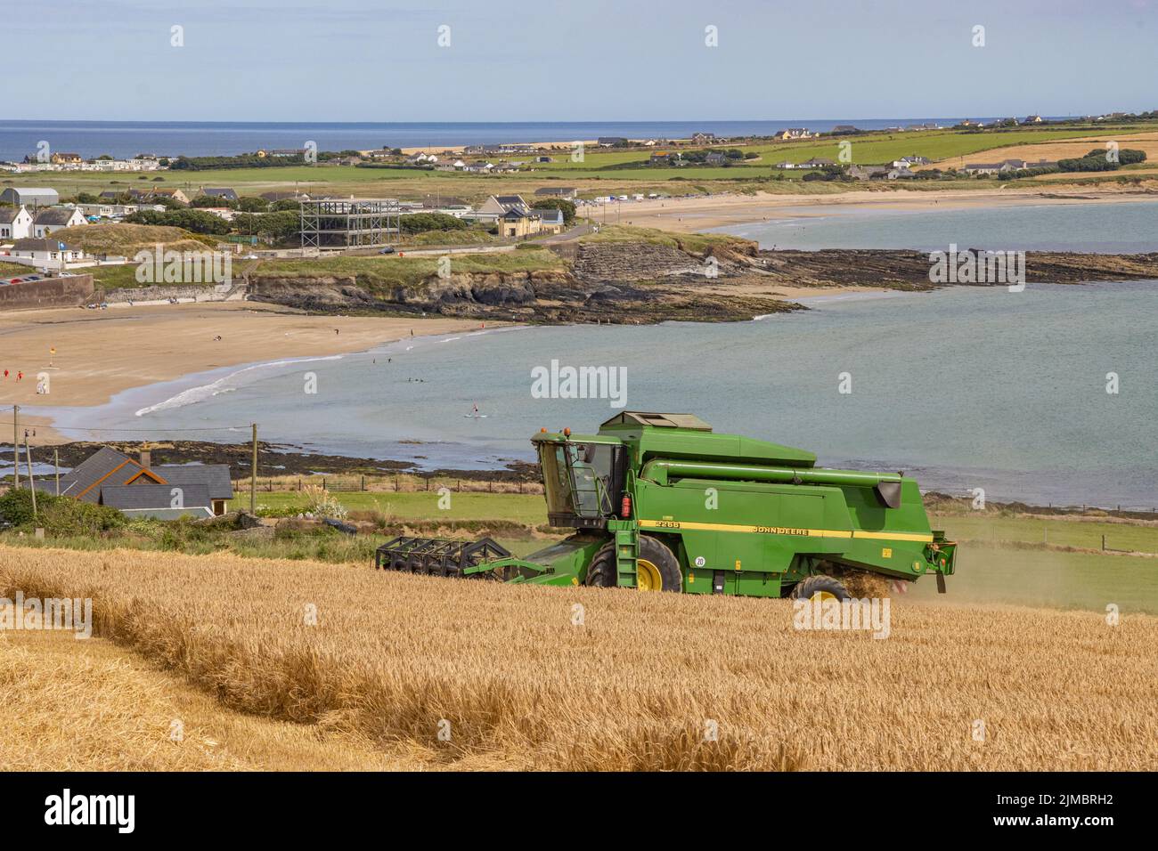 Spring Barley Harvest, Garretstown, Co. Cork Stockfoto